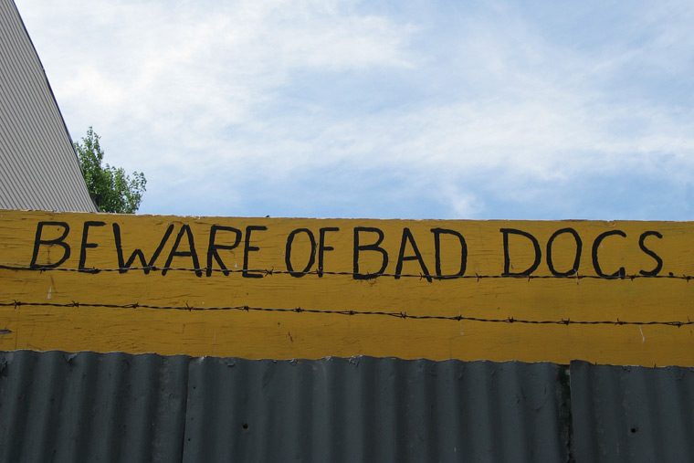 beware of bad dogs